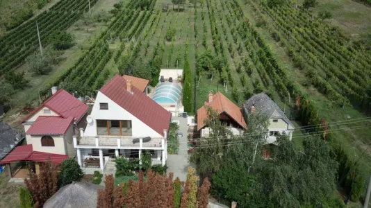 Namas Parduodama 99128 Vinica SK