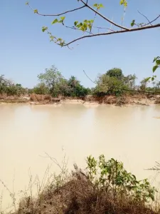 Statybinė žemė Parduodama 0000 Brikama Gambia  DE