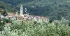 Butas Parduodama - 18010 Villa Faraldi IT Thumbnail 7