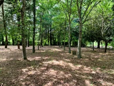 Statybinė žemė Parduodama 3300 Arganil PT