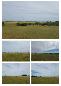 Žemės sklypas Parduodama 307285 Mosnita Noua RO
