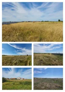 Žemės sklypas Parduodama 307289 Urseni RO